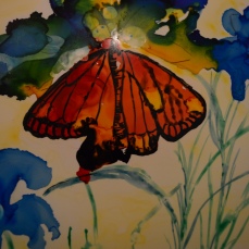 SOLD Monarch Butterfly