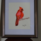 RED CARDINAL “I love this piece, it’s very minimalistic. The use of the bright colours are absolutely stunning. Keep up the great work!”-Peter.
